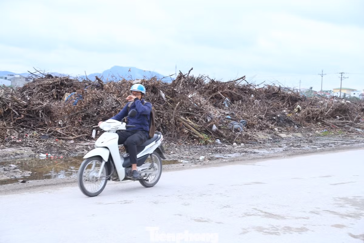 Theo ông Thắng, sau bão, nhiều khu dân cư, nhiều đơn vị tiếp tục cắt tỉa cây xanh. Số rác thải phát sinh này đáng lẽ họ phải xử lý nhưng lại tập kết ở các tuyến đường, công ty phải dọn. Lượng rác thải lớn phải thu gom, dẫn đến điểm tập kết rác thải quá tải. Mỗi ngày, khu vực này tiếp tục phải “gánh” thêm rác thải sinh hoạt, trong đó, một phần do người dân tự ý mang tới. Công ty phải bố trí 2 đội thay phiên giám sát, thu gom ngay khi phát hiện người dân vứt rác sinh hoạt.