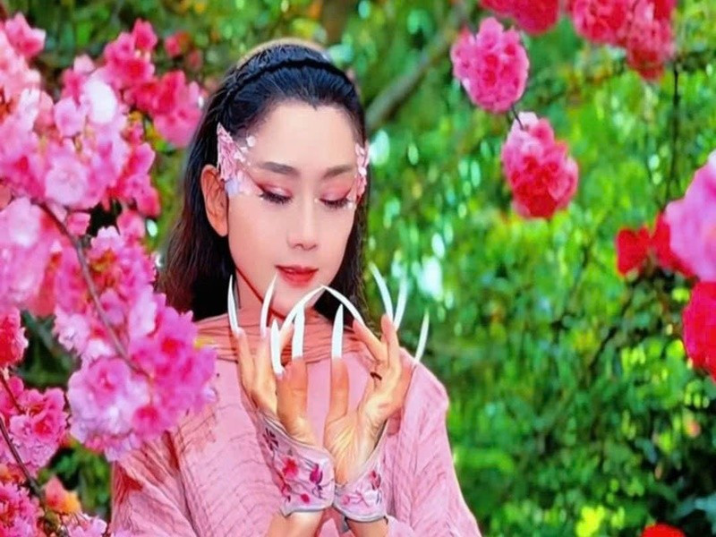 Ngoài hoạt động nghệ thuật, Dương Lệ Bình còn là nữ doanh nhân thành đạt. Ảnh: Vietnamnet.