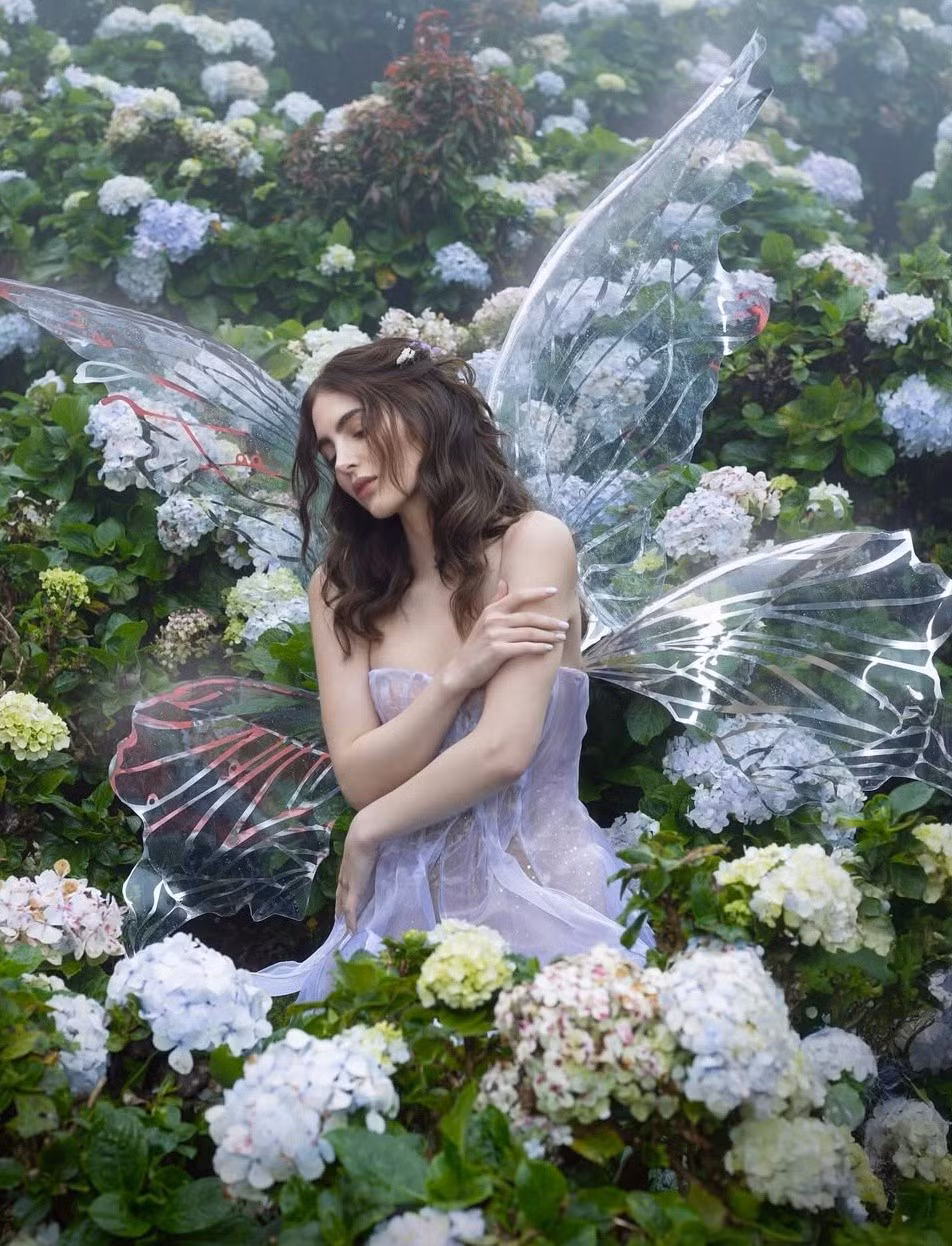 Chuyên trang sắc đẹp quốc tế Missosology hết lời khen ngợi bộ ảnh của Hoa hậu Hoàn vũ Venezuela 2025. Ảnh: Jose Mata.