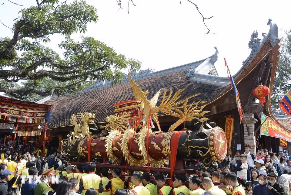 Khoảng hơn 11 giờ, pháo được rước về đình làng để làm lễ. (Ảnh: Thái Hùng/TTXVN)