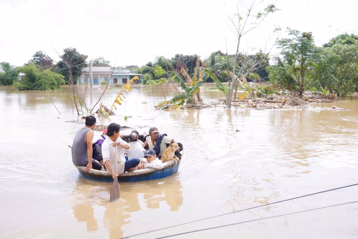 Đồng thời, các trường học nhanh chóng dọn dẹp mặt bằng để tiếp nhận người dân, trong khi ngành y tế chuẩn bị cơ số thuốc, sẵn sàng ứng cứu khi cần thiết.