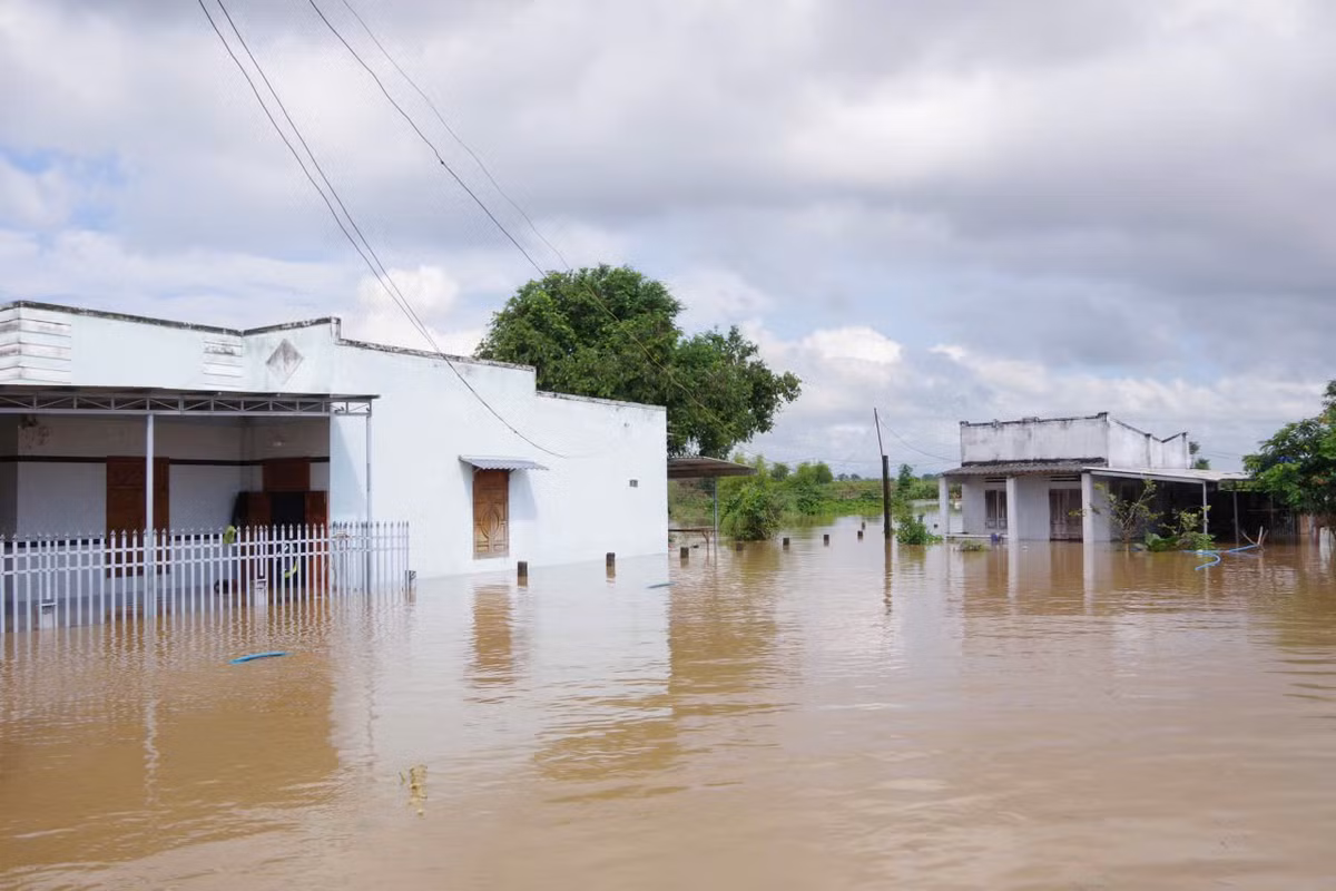 Theo ghi nhận sơ bộ từ các địa phương, toàn khu vực hiện có khoảng 1.705 căn nhà bị ngập. Trong đó, xã Hàm Liêm ngập trên diện rộng và đã di dời 300 hộ. Xã Hàm Thuận ngập nhiều nơi, 55 hộ được đưa đến nơi an toàn. Xã Sông Lũy có khoảng 350 căn nhà ngập úng, đã sơ tán 15 hộ. Xã Lương Sơn ngập khoảng 400 căn, 25 hộ phải di dời.