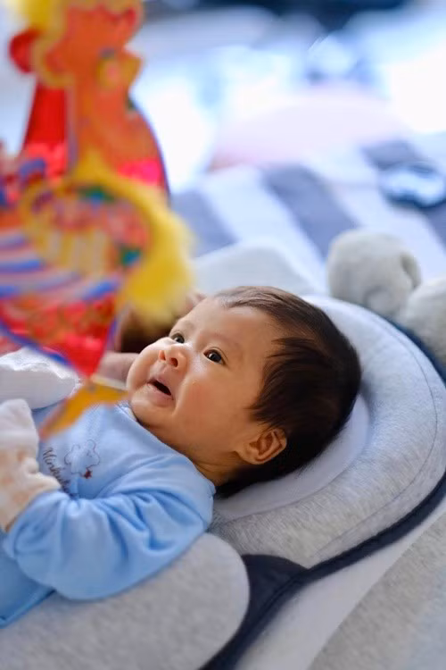 Nhiều khán giả khen ngợi vẻ ngoài đáng yêu, kháu khỉnh của bé Pi.