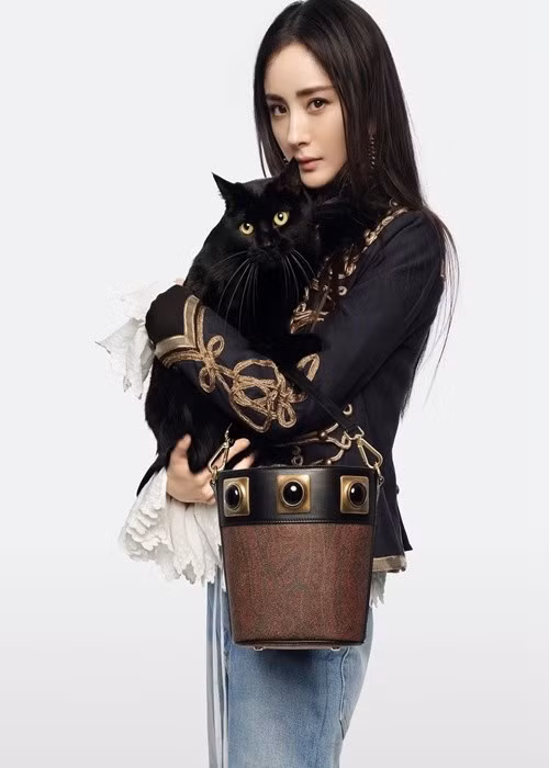 Thu nhập của Dương Mịch đến từ hoạt động kinh doanh, tham gia phim ảnh, nhận quảng cáo, đi sự kiện. Ảnh: Instagram Dương Mịch.