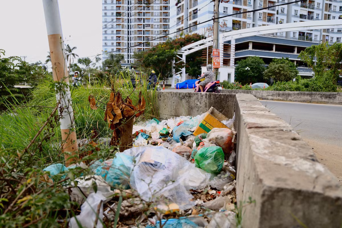 Dọc đường Đào Trí (phường Phú Thuận), những đống rác tự phát nhỏ lẻ men theo ven đường, tồn tại kéo dài mà chưa được xử lý triệt để.