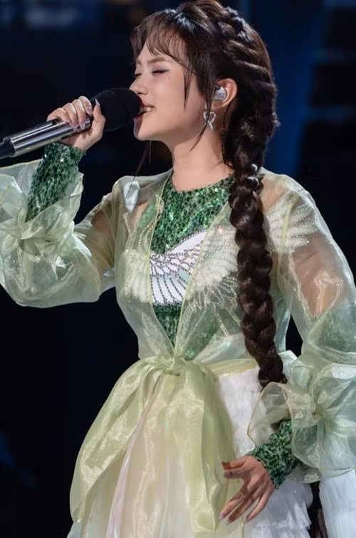 Điểm nhấn trên bộ trang phục của Phương Mỹ Chi là hình ảnh con cò. Ảnh: FB Phương Mỹ Chi.