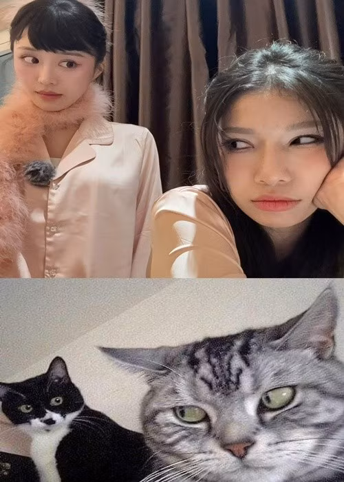 Trước khi rời Em xinh say hi, Han Sara gây ấn tượng bởi giọng hát tốt, ngoại hình xinh đẹp cùng khiếu hài hước. Ảnh: FB Han Sara.