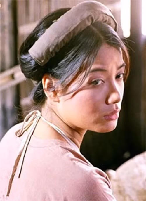 Trương Ngọc Ánh kinh doanh thất bại nhưng có sự nghiệp diễn xuất thành công. Ảnh: Pháp Luật TP HCM.