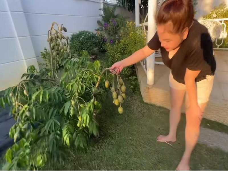 Lê Giang từng chia sẻ trên Vietnamnet, căn nhà là thành quả lao động của cô trong nhiều năm. Ảnh: Người Đưa Tin.