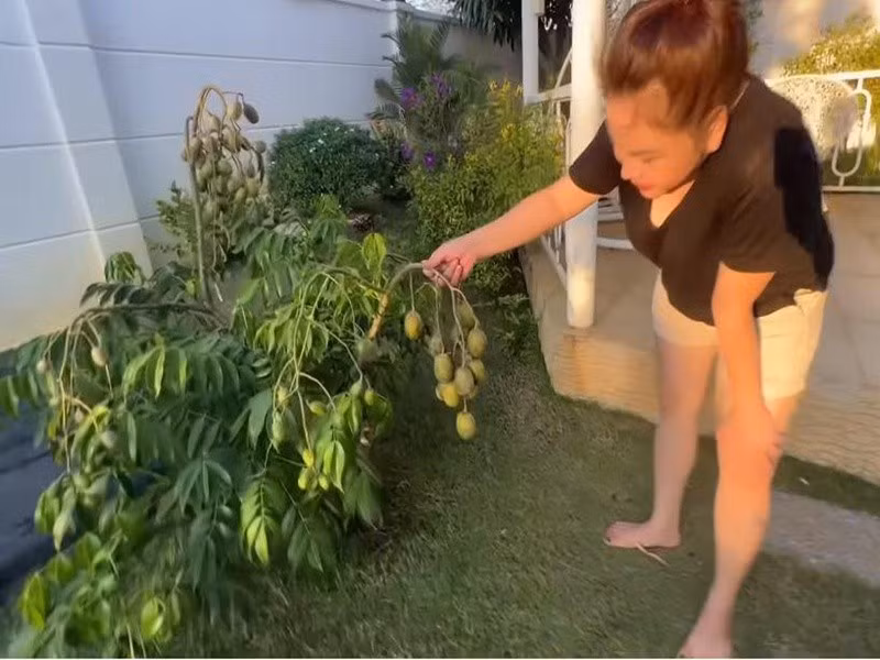 Lê Giang từng chia sẻ trên Vietnamnet, căn nhà là thành quả lao động của cô trong nhiều năm. Ảnh: Người Đưa Tin.