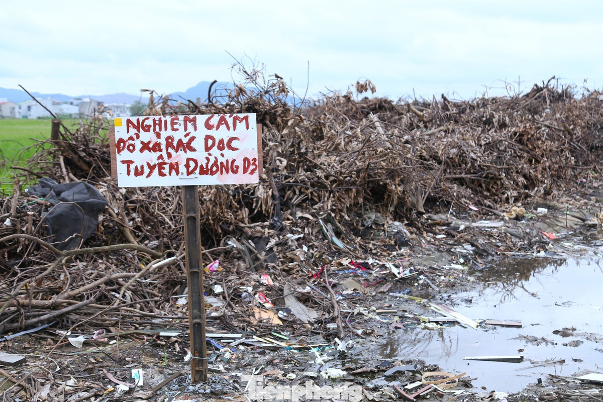 Dù có biển “Cấm đổ xả rác”, nhiều người vẫn ngang nhiên vứt rác xuống khu vực này.