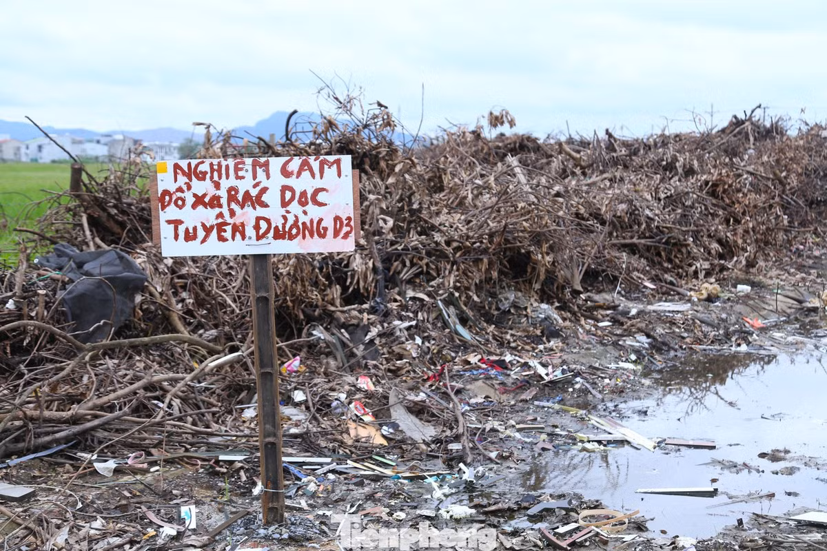 Dù có biển “Cấm đổ xả rác”, nhiều người vẫn ngang nhiên vứt rác xuống khu vực này.