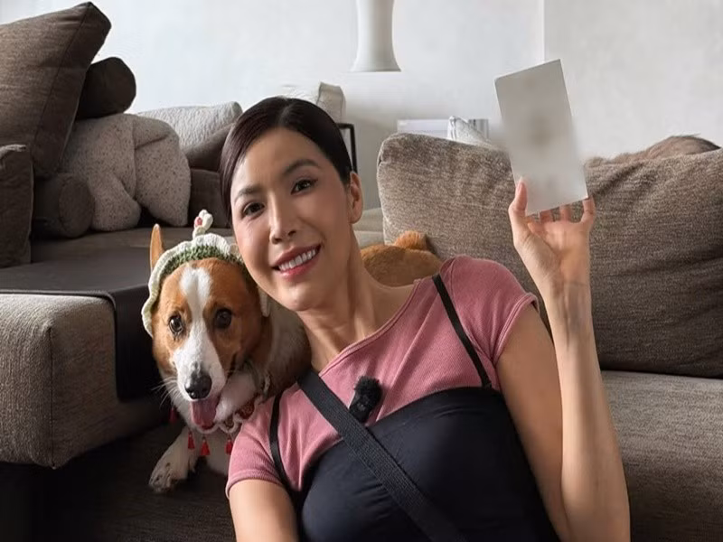 Theo Vietnamnet, chú chó Bảnh Tỏn của Minh Tú là chó Corgi. Ảnh: FB Minh Tú.