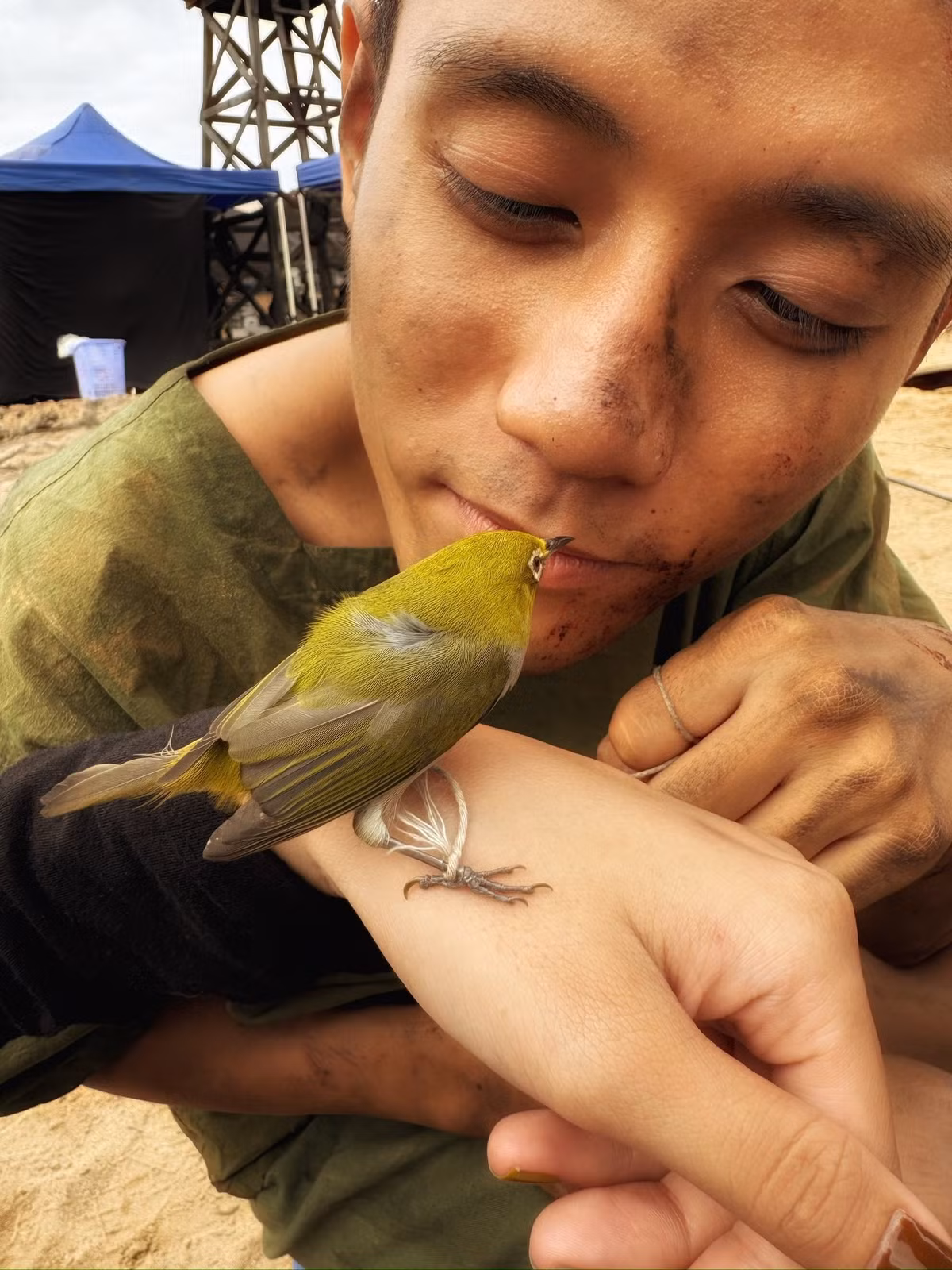 Trên màn ảnh, chú chim vành khuyên xuất hiện trong một số khung cảnh bên nhân vật Tú. Ảnh: FB Đình Khang.