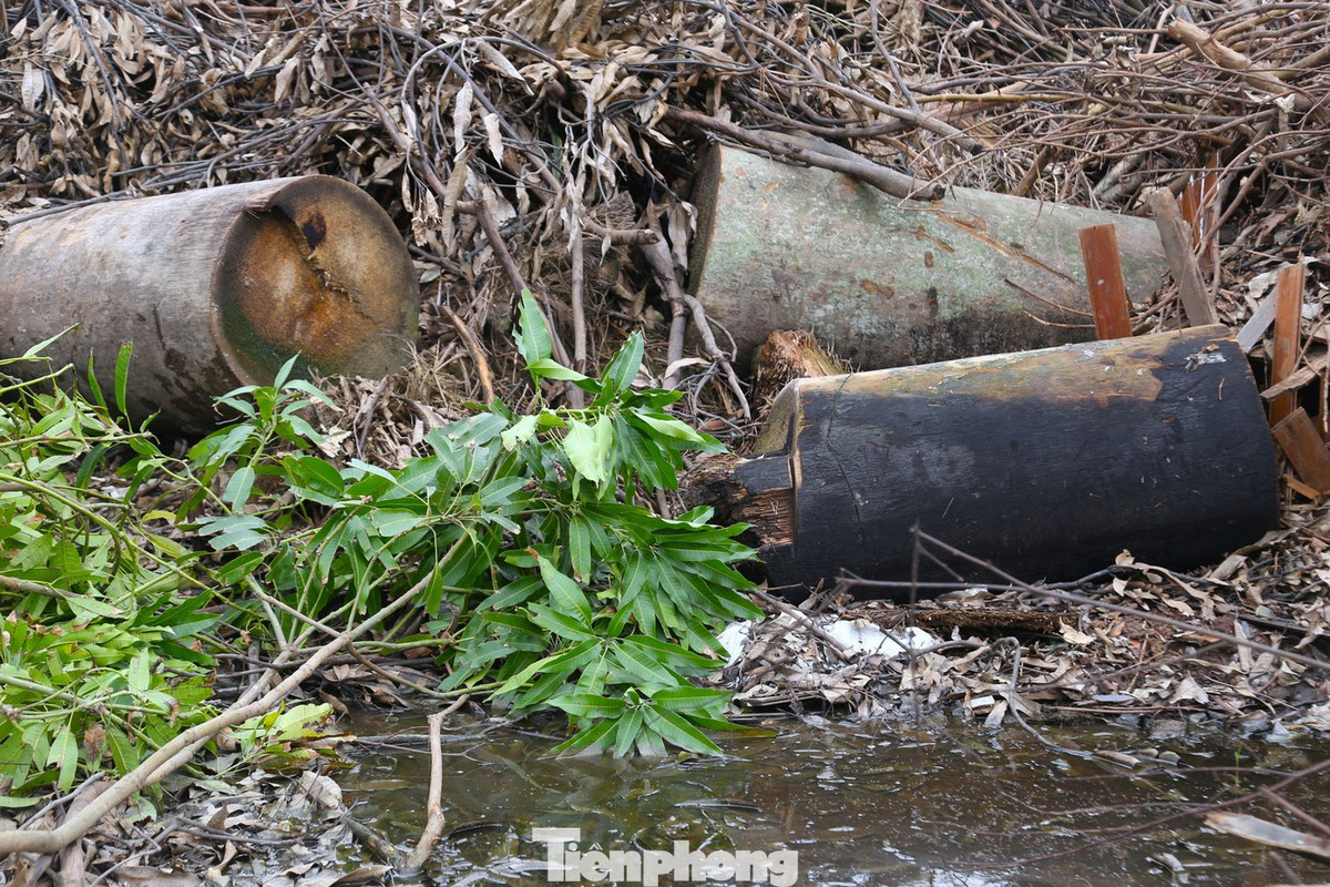 Một số khu vực tập kết rác vẫn còn dấu tích bị đốt cháy.