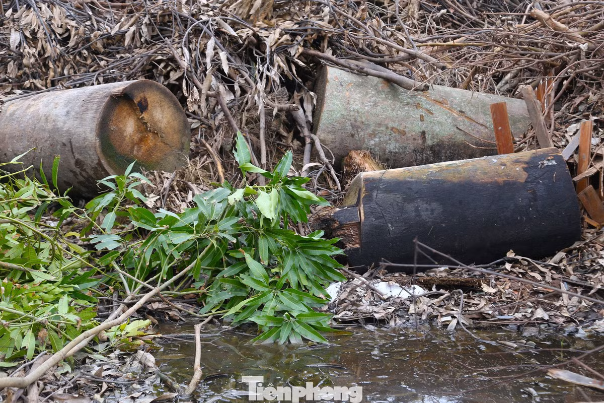 Một số khu vực tập kết rác vẫn còn dấu tích bị đốt cháy.