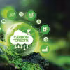 Kích hoạt thị trường carbon rừng: Mở “dòng tiền xanh” từ tài nguyên rừng