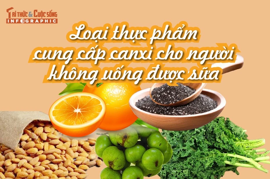 [INFOGRAPHIC] Loại thực phẩm cung cấp canxi cho người không uống được sữa