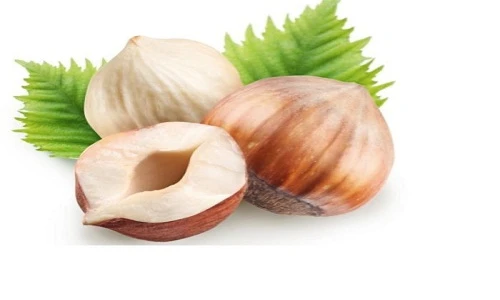 Khám phá công dụng tuyệt vời của quả hạch với sức khỏe