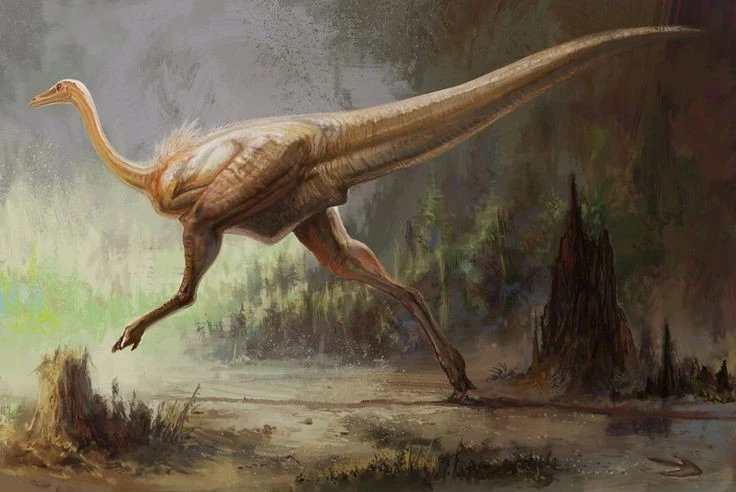 Soi 'vận động viên điền kinh' của thế giới khủng long với tốc độ 'ánh sáng'