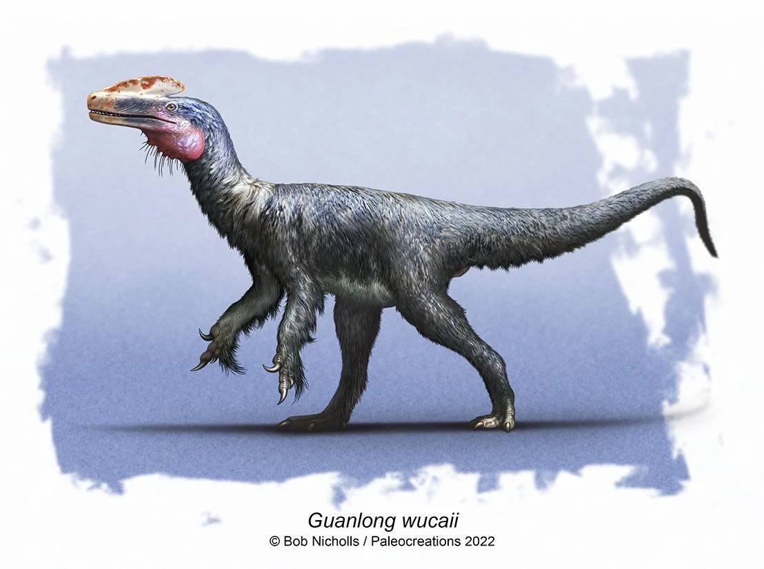 Tiết lộ sốc về tổ tiên dị hợm của khủng long bạo chúa Tyrannosaurus