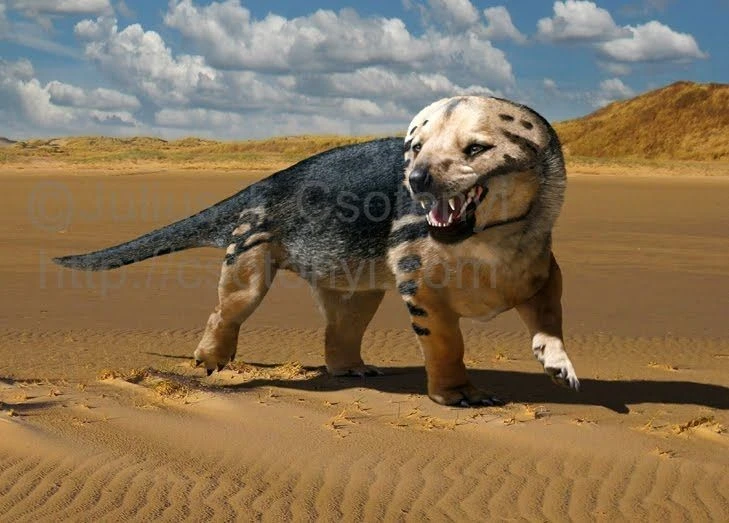 Cận cảnh sinh vật 'nửa chó nửa thằn lằn' từng thống trị Trái đất 