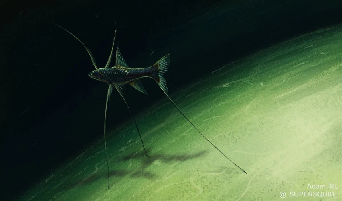 Cận cảnh loài cá ba chân kỳ lạ sống dưới đáy đại dương sâu thẳm 