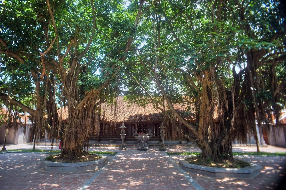 Kho tàng vô giá của ngôi chùa cổ có kiến trúc nguyên bản nhất Việt Nam 