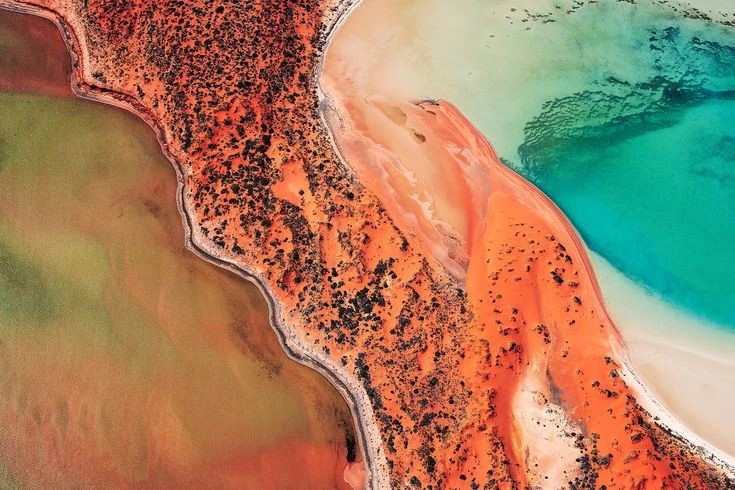 Sinh vật độc dị nhất hành tinh ở Vịnh Cá Mập nổi tiếng thế giới