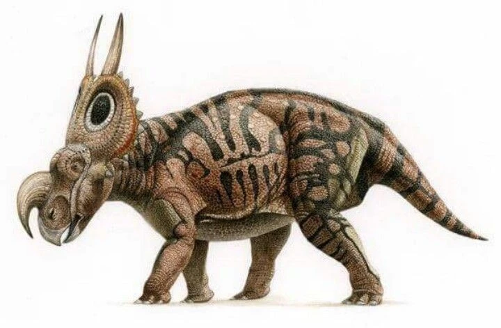 Kỳ lạ loài khủng long có sừng cong như cái móc, dài tới 6m