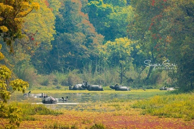 Vùng đất có 'thần thú một sừng' đặc biệt nhất Nepal