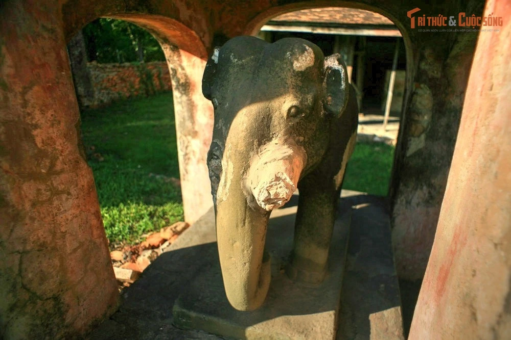 Điện Voi Ré Huế và Truyền thuyết voi chiến triều Nguyễn gây xúc động