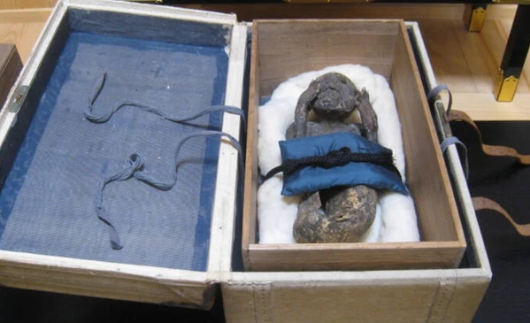 Sốc với sự thật về xác ướp “mặt người mình cá” bí ẩn