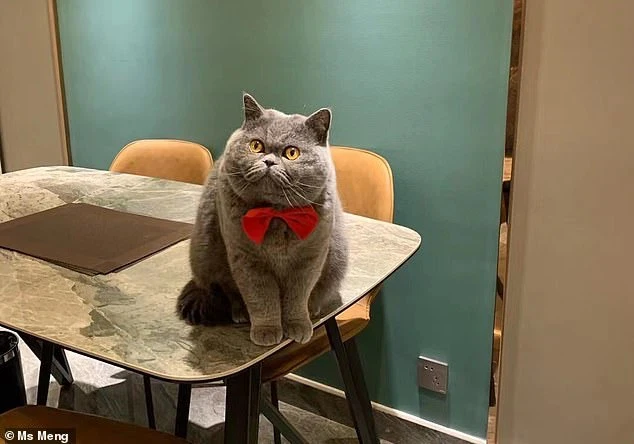 “Hoàng thượng” khóc rưng rức vì nhớ “sen” đang xa nhà