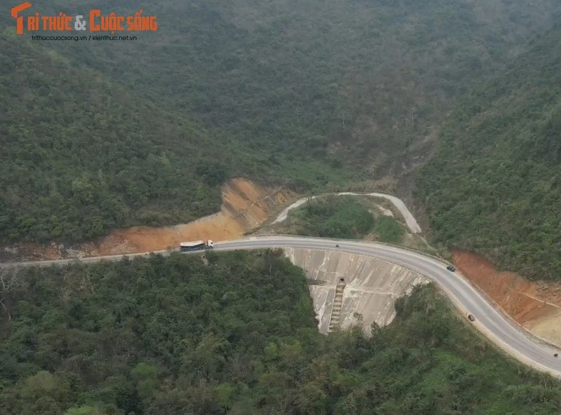 Công ty TNHH Công trình 156 Hà Nội đổ thải, đè chết cây