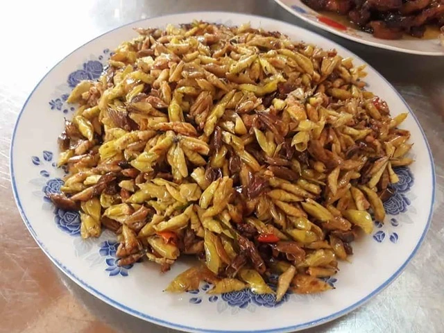 Video: Hết hồn với món đặc sản được ví như “tôm rừng” của Tây Nguyên