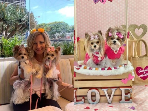 Video: Tủ quần áo đắt đỏ trị giá hàng chục ngàn USD của cún cưng