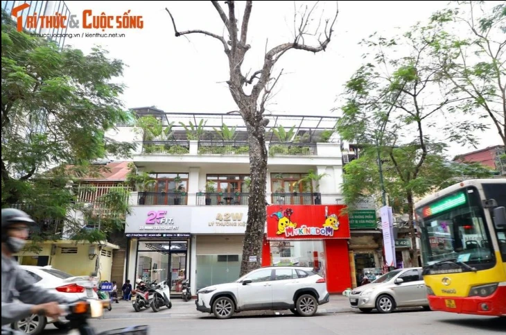 Quận Hoàn Kiếm: Loạt cây chết khô, tiềm ẩn nguy cơ trước mùa bão