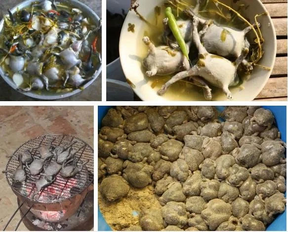 Video: Món đặc sản “kinh dị” được bày bán công khai ngoài đường