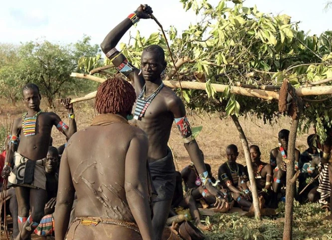 Video: Muốn lấy được vợ phải khỏa thân nhảy qua lưng bò