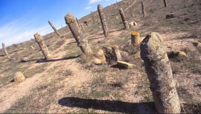 Video: Khám phá nghĩa trang kỳ lạ có hàng trăm bia mộ hình nhạy cảm