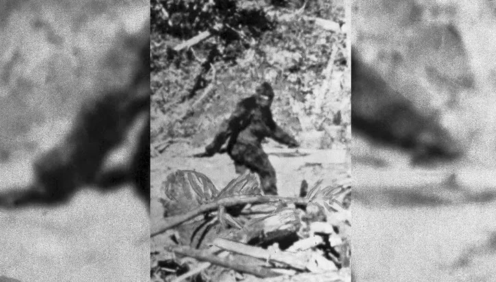 Video: Xôn xao hình ảnh sinh vật bí ấn “nửa người nửa khỉ”