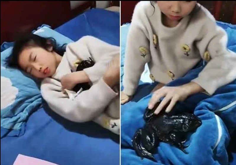 Phát hiện điều “sởn gai ốc” sau tiếng động lạ trong phòng con gái