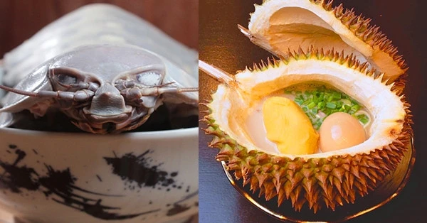 Cận cảnh mỳ sầu riêng, bọ biển khổng lồ gây sốt ở châu Á