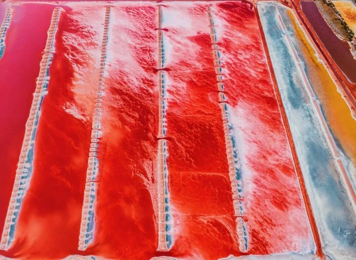 Video: Mê mẩn hồ nước màu hồng ở Australia đẹp như tranh vẽ