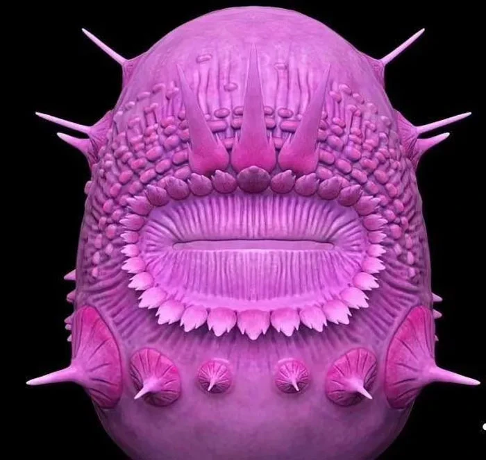 Video: Trung Quốc đào được "tổ tiên của nhân loại"?