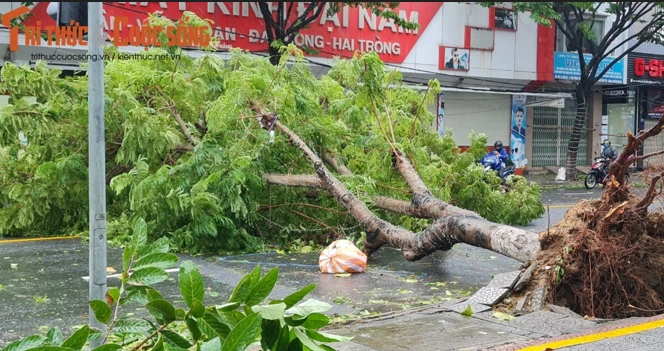 Video: Bão Noru quần thảo các tỉnh miền Trung, nhiều nơi tan hoang