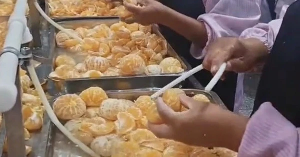 Video: Cảnh làm nước cam ép khiến dân mạng tranh cãi