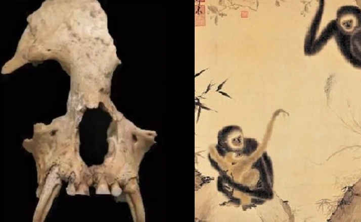 Giật mình thấy “thú cưng” trong lăng mộ bà nội Tần Thủy Hoàng