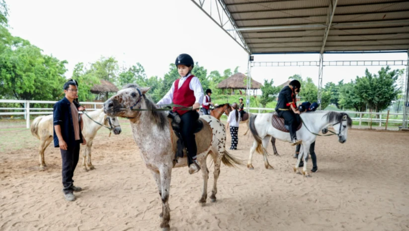 Video: Người Hà Nội chi tiền triệu học cưỡi ngựa phong cách châu Âu